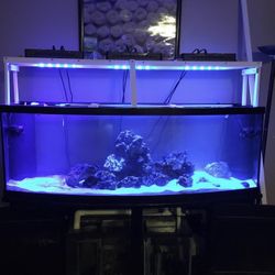 160 Bow Front Salt / Fresh Water Aquarium (Drilled) With Stand