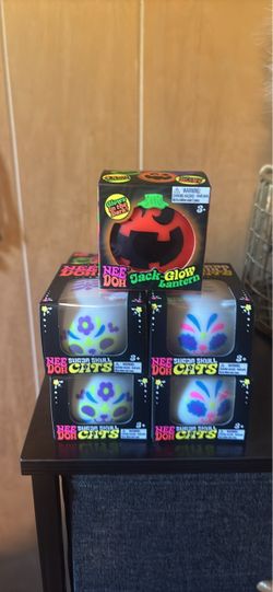 Jack glow lantern and skull cats