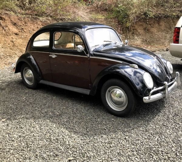 1964 VW Beetle for Sale in Port Orchard, WA - OfferUp