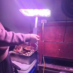 Tiptop Hydroponic Growing System 