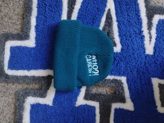Whocaressupply beanie (Teal)