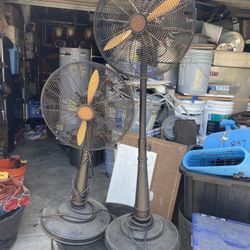 Adjustable Fan