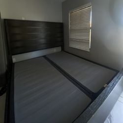 Gray Brownish Keen Bed 