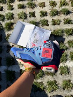 Nike Jordan 6 Awake NY Blueberry Size 11