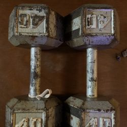 40lb Dumbbell Pair