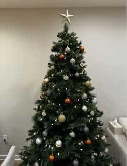 Christmas Tree For Sale