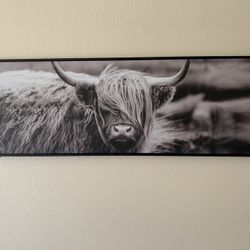 Cow Art