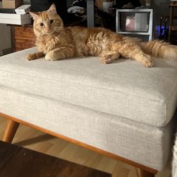 Midcentury modern Light grey ottoman couch