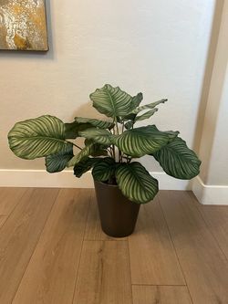31” Faux Calathea Orbifolia Plant Tree w/ Metal Planter Pot