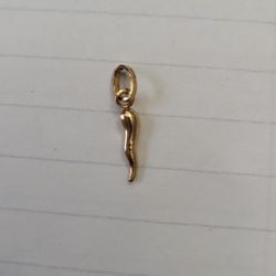 18kt Italian Horn Pendant Thing. 