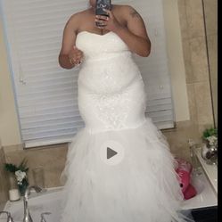 Evening Gown (bought As Reception Dress)