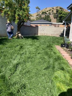 Installing Of Grass