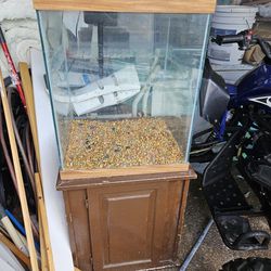 20 Gallon Tall Fish Tank With Stand