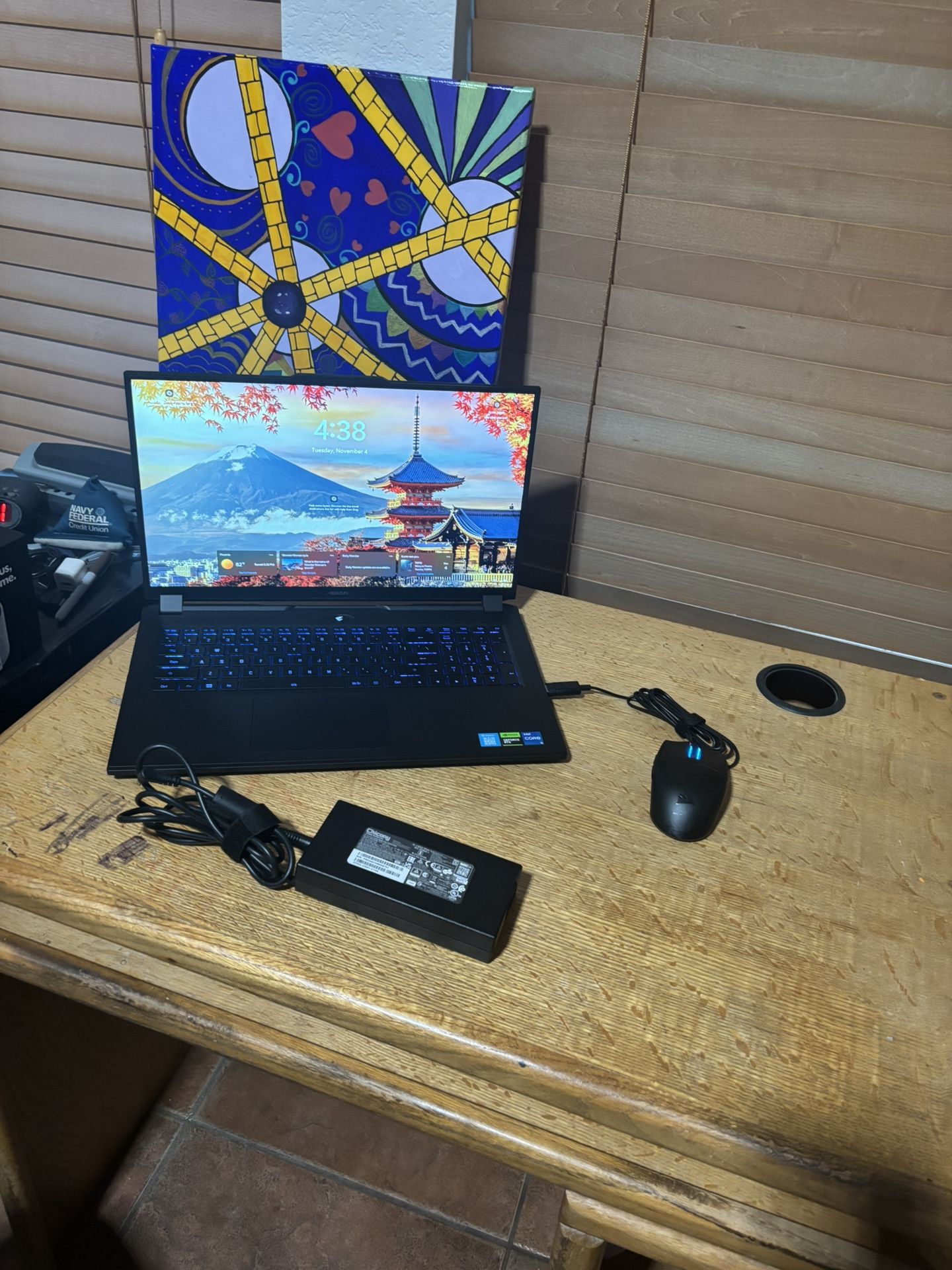 Black Gaming Laptop PC (Aorus) 360Hz