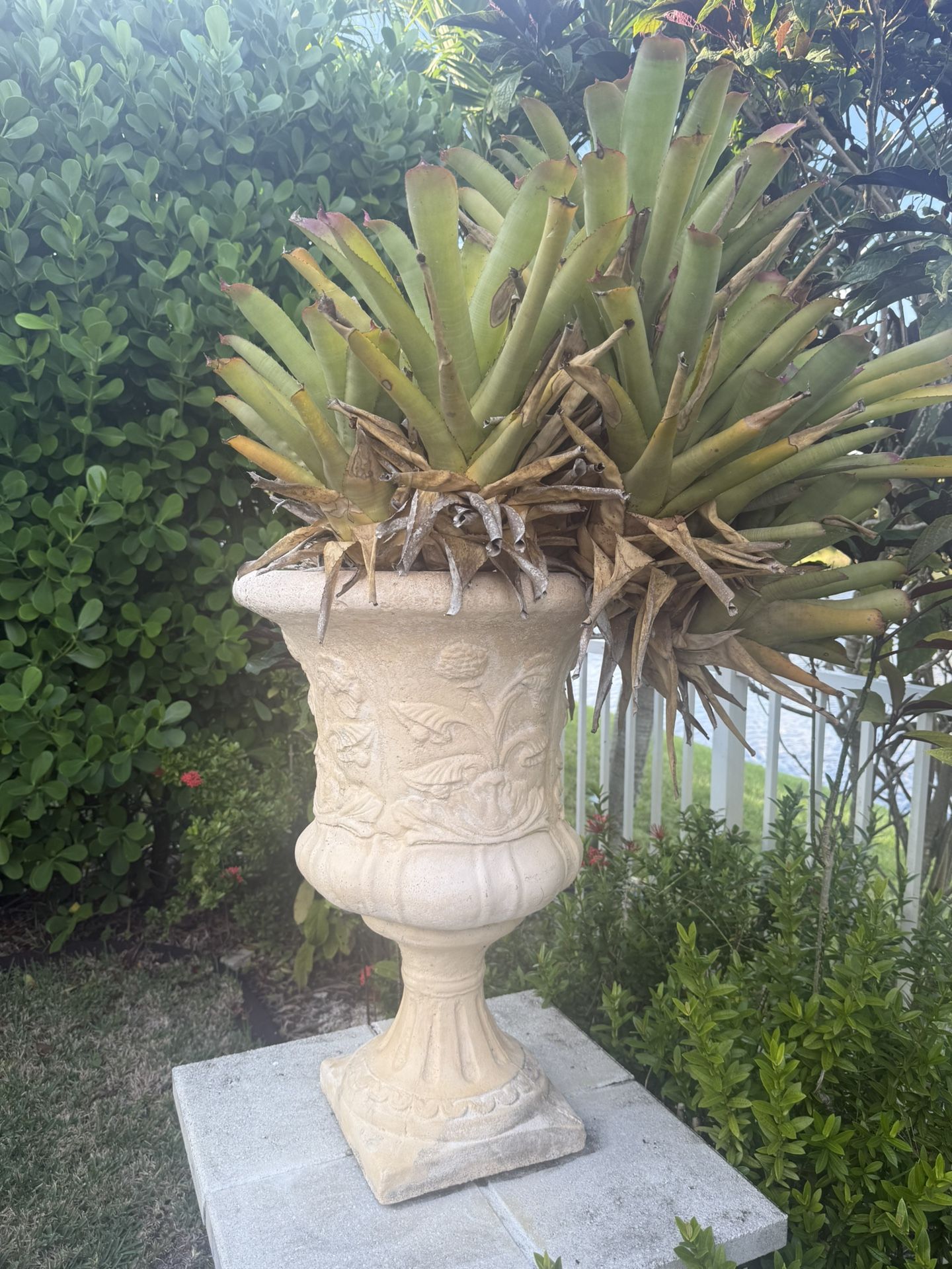 Outside extra large vase