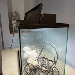 Fish Tank/Terrarium 