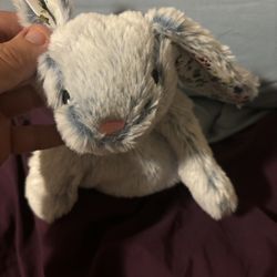 Squeaky Toy Bunny Rabbit