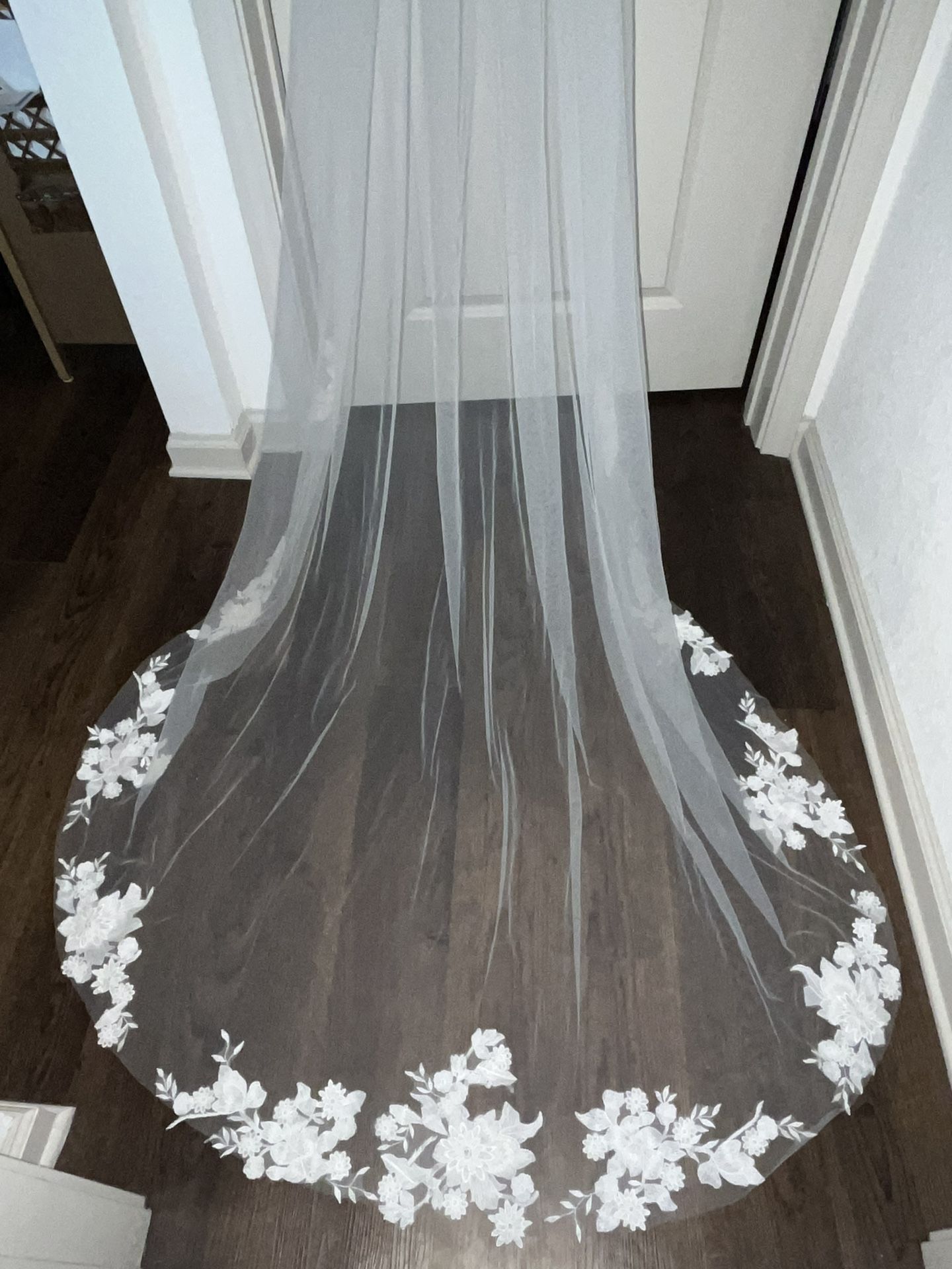 new, unused madi lane veil