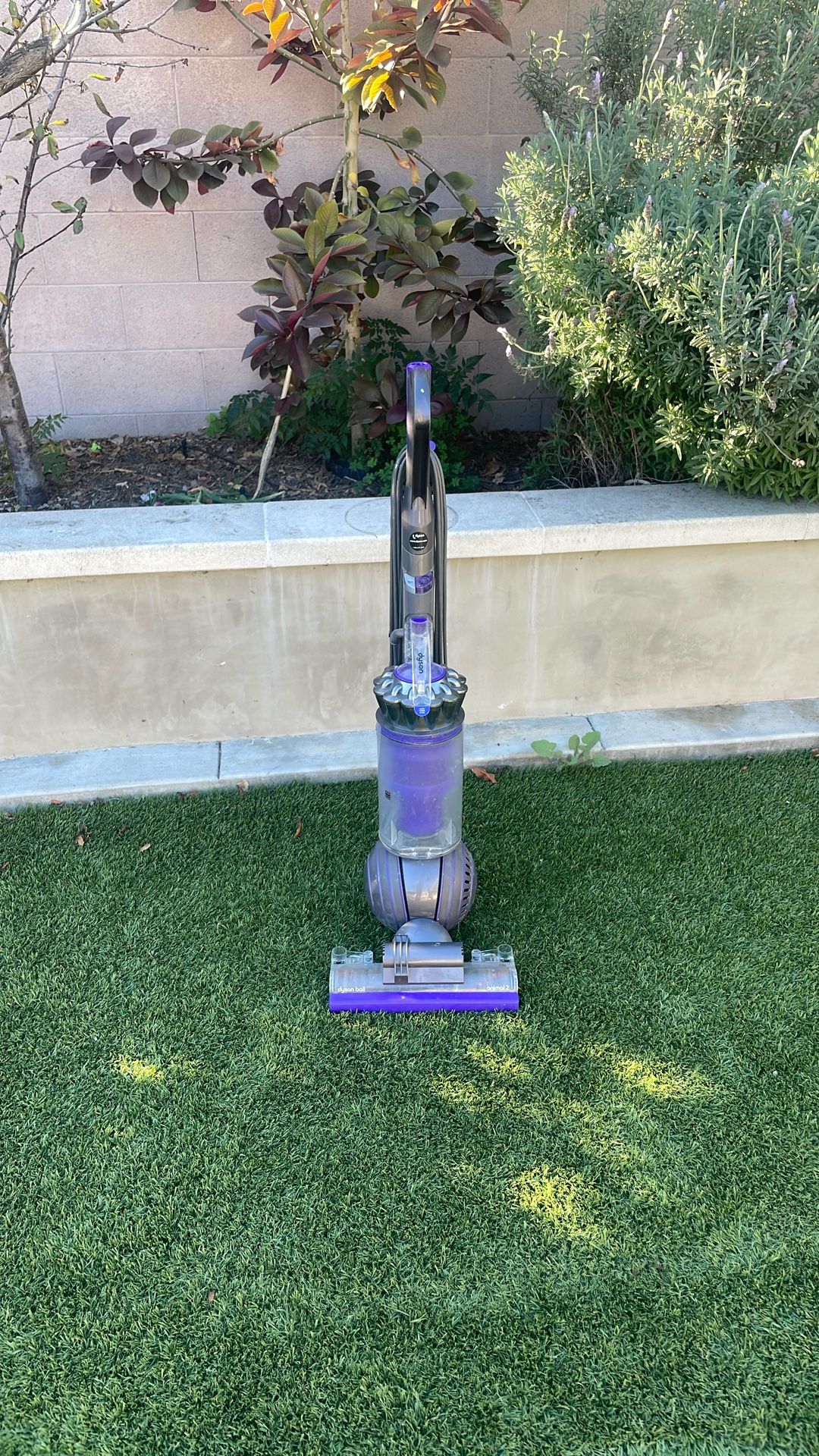 Dyson Ball Vacuum Cleaner Animal 2