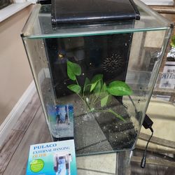 Marineland 5 Gallon Glass Tank