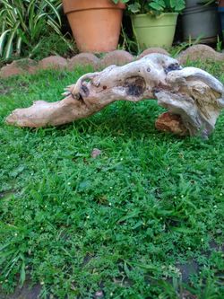 Genuine Driftwood For Aquariums Terrariums Decor 
