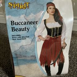 Pirate Costume (Buccaneer Beauty)