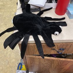 Halloween doggy spider costume