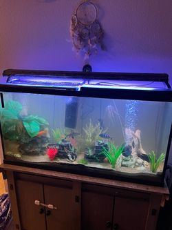 Coralife Power Compact Actinic Aquarium Light Fixture for All Water Types