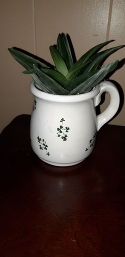 mini irish pither with succulent