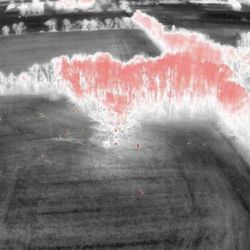 DJI Mavic 3T Thermal Drone