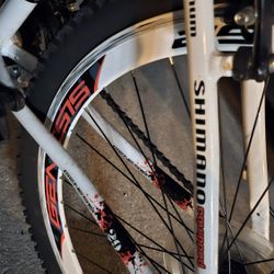 Shimano 29 upended Genesis Assault