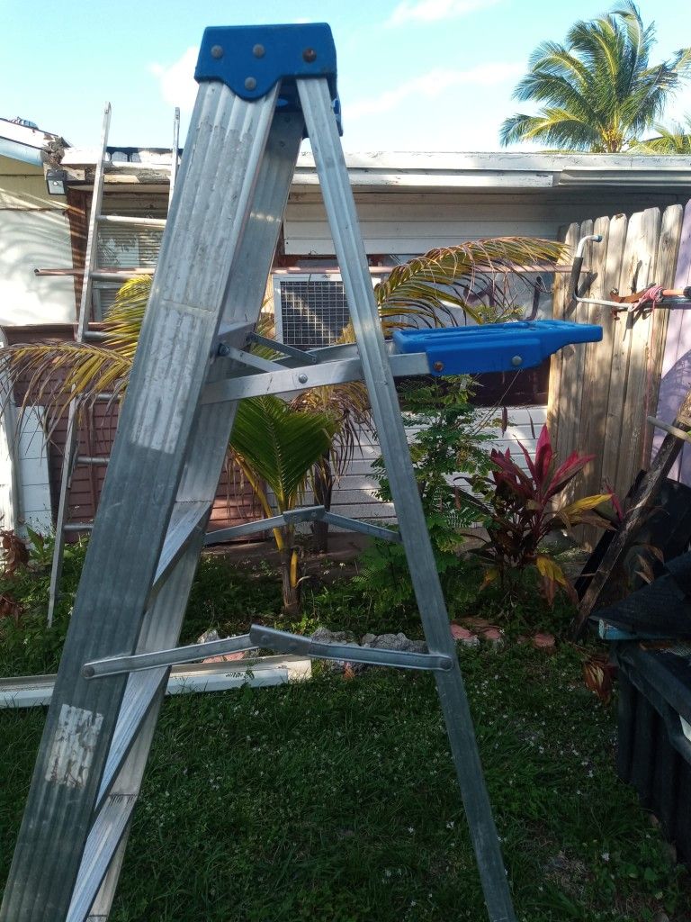 6 Feet Lander