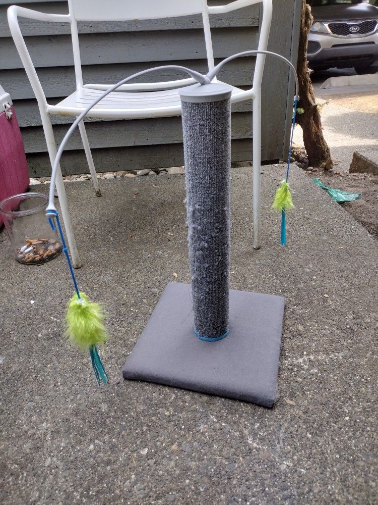 Cat Toy/Scratcher