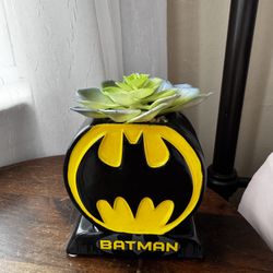 Batman Logo Fake Potted Succulent