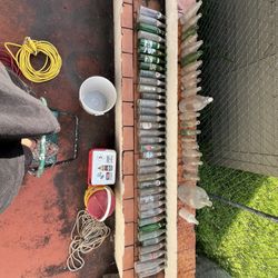 Vintage Soda Bottles