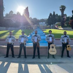 Mariachi Violin Guitar Trumpet