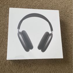 Brand new Airpod maxes (SEND BEST OFFER)