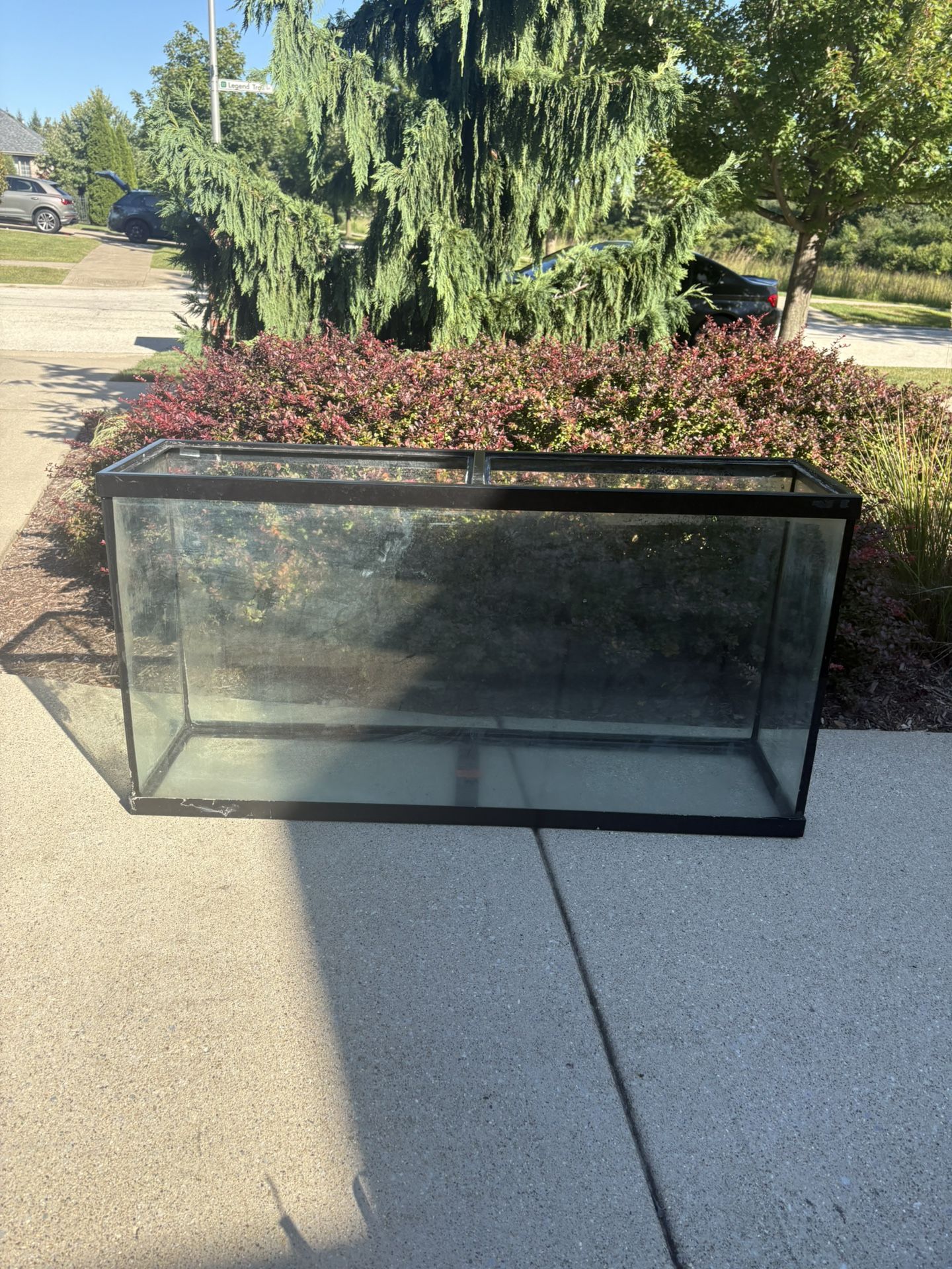 Fish Tank-aquarium