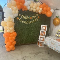 Gender Reveal Balloon Garland 