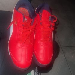 Mens Puma Shoes Size 10