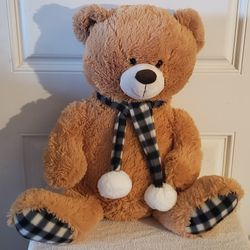 DanDee 20" Teddy Bear Plush Stuffed Animal/Toy
