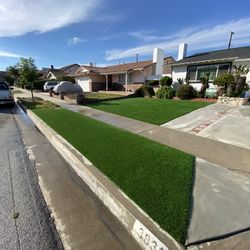Turf