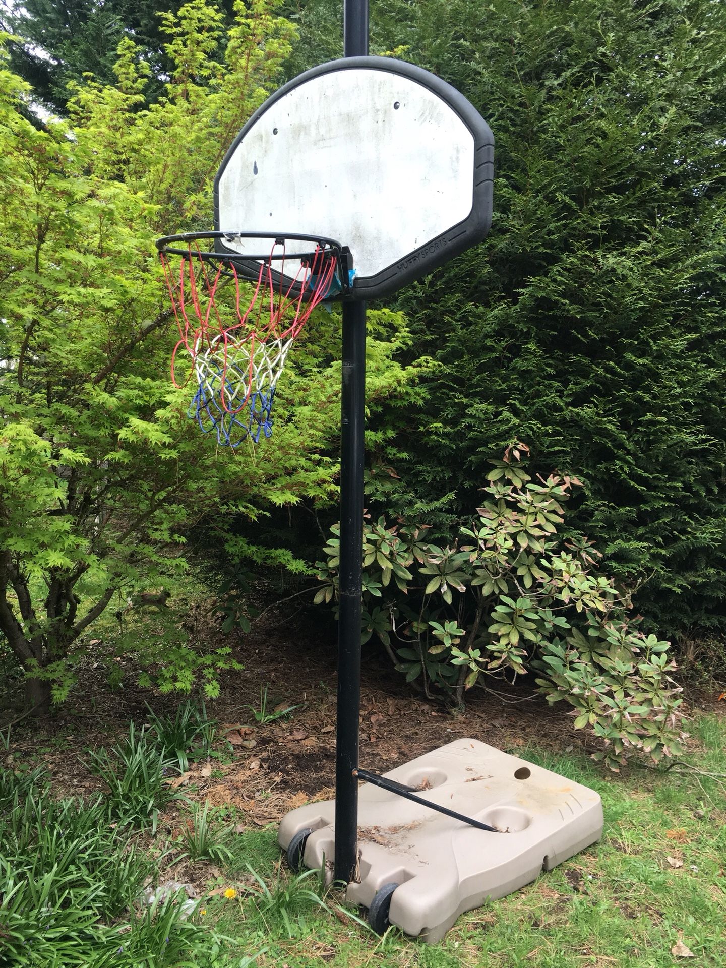 Free Basketball Hoop!