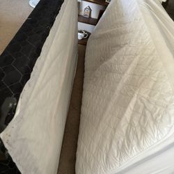 Free Twin Bed & Box Spring 