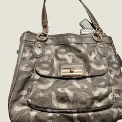 Grey Coach Bag