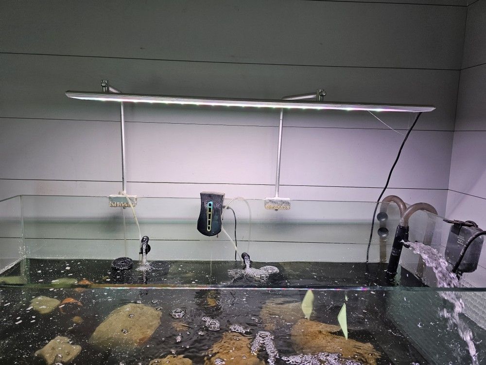 125 Gallon Fish Tank