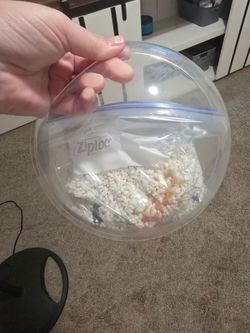 Wall fish bubble