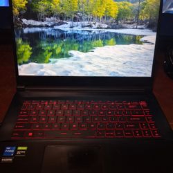 MSI Gaming Laptop