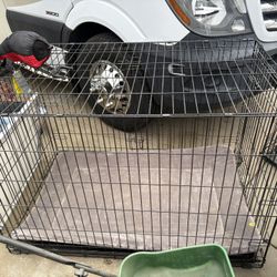 dog Cage