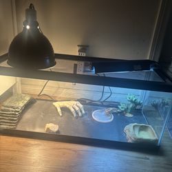 Terrarium for reptile